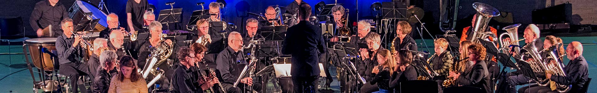 Dho Dieren Harmonie Orkest Muziek Leren Maken Spelen Optreden